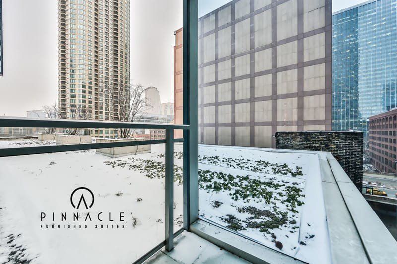 EnV Chicago  2 Bedroom 11