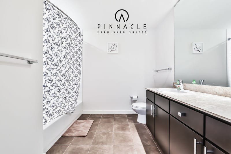 EnV Chicago  2 Bedroom 11